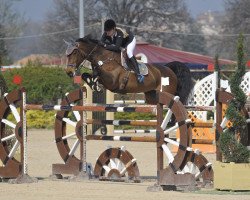 jumper Batida du Rouet (Oldenburg show jumper, 2005, from Balou du Rouet)