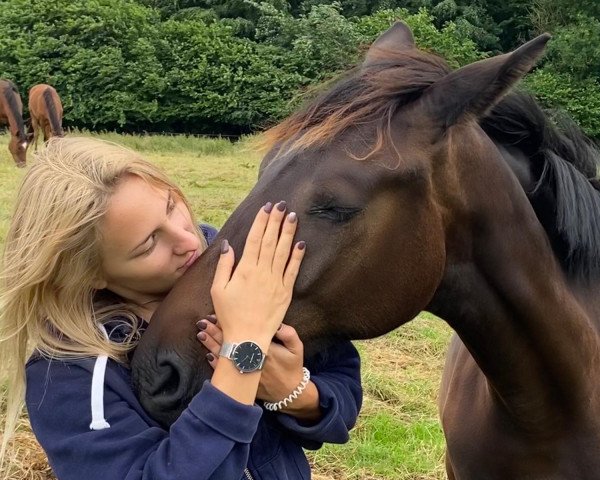 dressage horse Belle Amie 92 (Oldenburg, 2019, from Bel Amour 3)