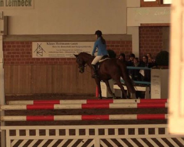 17. Hallen-Reit- und Springturnier Lembeck