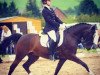 dressage horse Cassinis Cool Man HH (German Riding Pony, 2003, from Cassini)