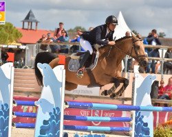 jumper Alidada du Bourg (French Pony, 2010, from Poetic Justice)