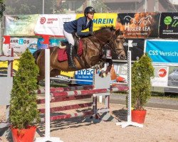 Springpferd Cassinis Herminze (Deutsches Reitpony, 2012, von Cassini)