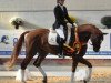 dressage horse Basali (Hanoverian, 2011, from Belissimo NRW)