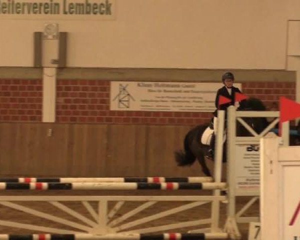 17. Hallen-Reit- und Springturnier Lembeck