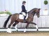 dressage horse Sinfonie (Westphalian, 2016, from Sir Heinrich OLD)