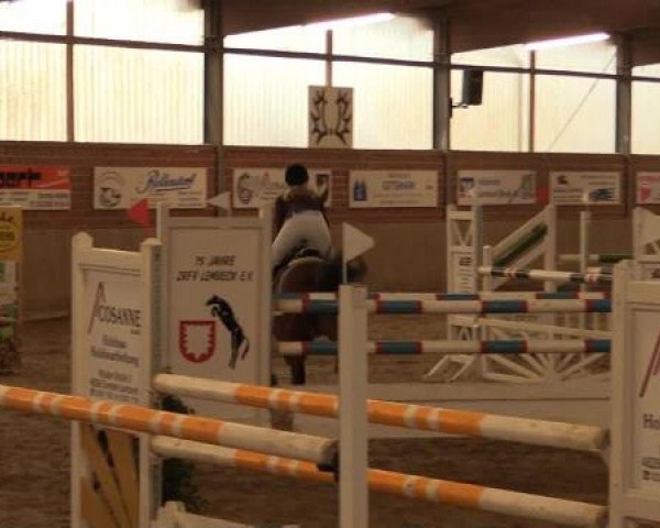 17. Hallen-Reit- und Springturnier Lembeck
