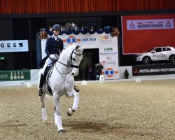 dressage horse Rothschild 18 (Westphalian, 2004, from Roh Magic)