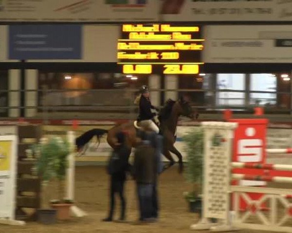 Hallenturnier Vlotho-Exter 2015
