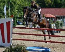 jumper Grandorin Gan (Hanoverian, 2004, from Graf Top)