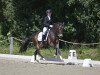 dressage horse White Gold's Boy (Westphalian, 2010, from White Gold B)