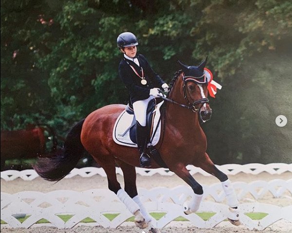 Dressurpferd Mia Bella 3 (Deutsches Reitpony, 2007, von FS Don't Worry)