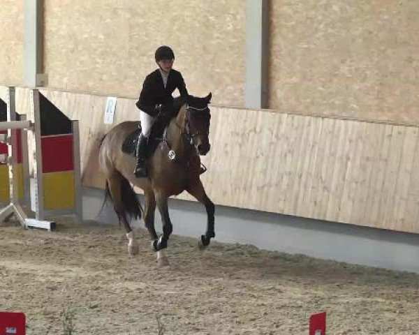 Hallenturnier Illertissen 2015