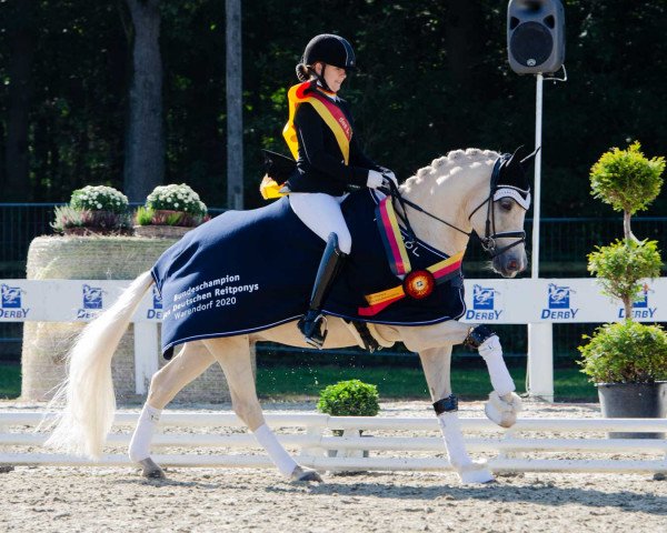 dressage horse RM Golden Pleasure (German Riding Pony, 2016, from HET Golden Dream)