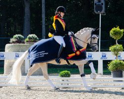 Dressurpferd RM Golden Pleasure (Deutsches Reitpony, 2016, von HET Golden Dream)