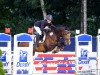 jumper Maya 389 (German Riding Pony, 2015, from Mylord Carwyn)