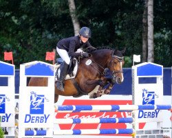 jumper Maya 389 (German Riding Pony, 2015, from Mylord Carwyn)