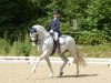 dressage horse Paciente de Susaeta (Pura Raza Espanola (PRE), 2012, from Impaciente)