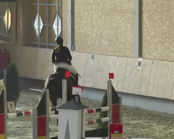 Hallenturnier Illertissen 2015