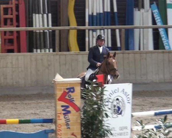 Hallenspringturnier Heidelberg-Kirchheim 2015