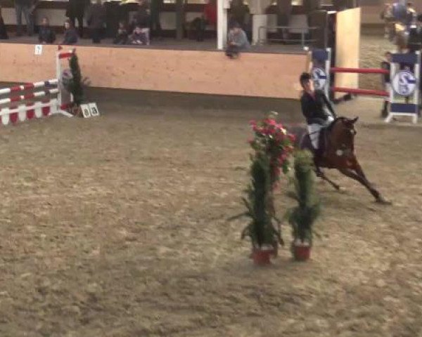 Hallen-Reit- und Springturnier 2015 beim RV Alt Marl