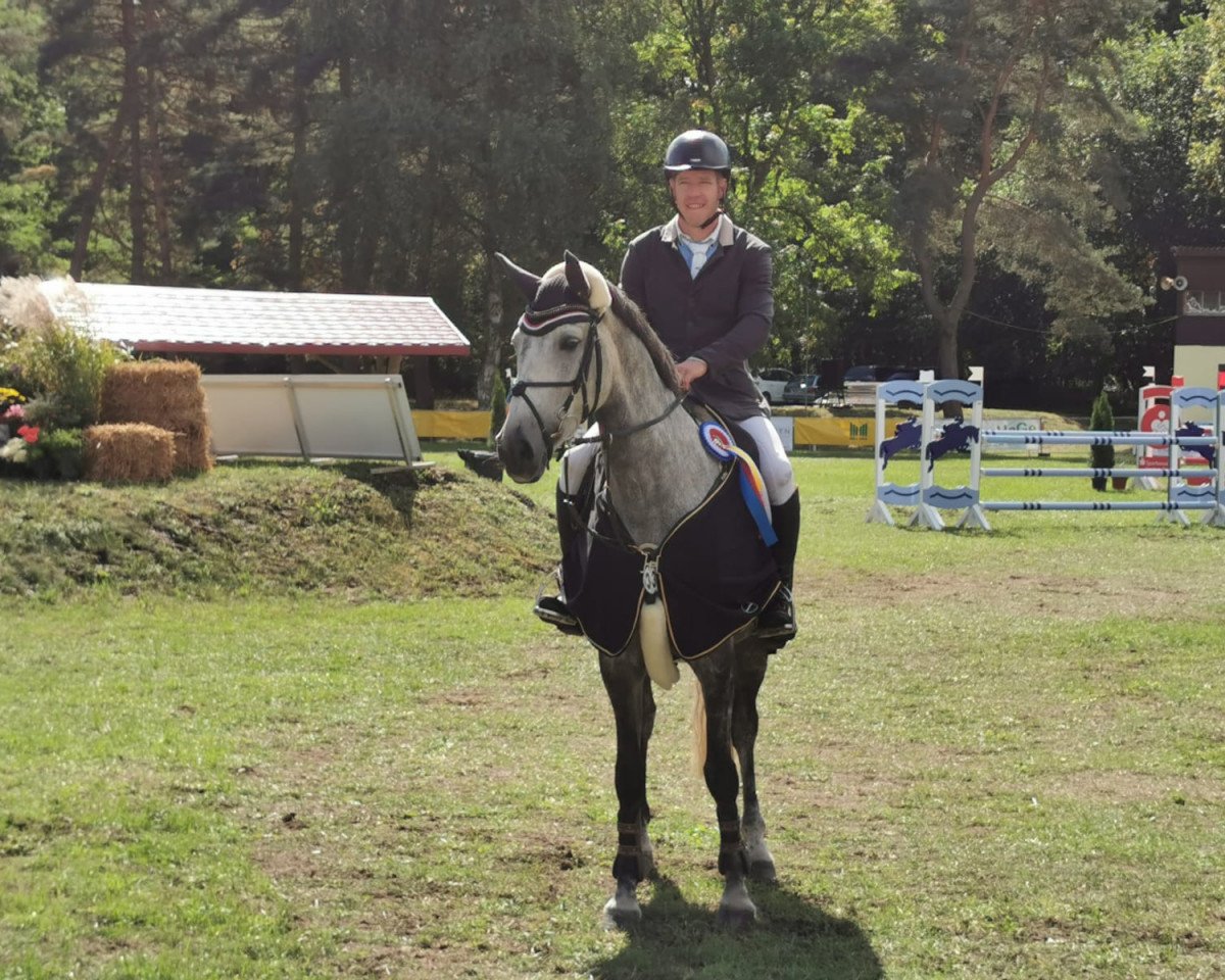 jumper Stella L 2 (Oldenburg show jumper, 2012, from Stylist)