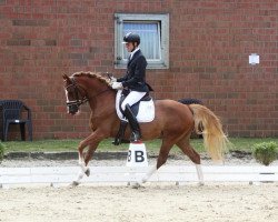 broodmare Djalika J (German Riding Pony, 2014, from Dreidimensional AT NRW)