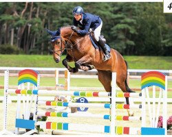 jumper Cafe's Dakota (Oldenburg show jumper, 2015, from Cafe au lait 2)