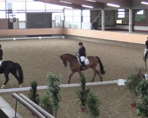 Hallen-Reit- und Springturnier 2015 beim RV Alt Marl