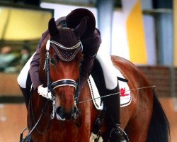 dressage horse Barrichello 18 (Rhinelander, 2009, from Basic)