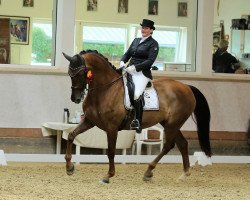 dressage horse Sherwood Forrest (Oldenburg, 2009, from Swarovski)