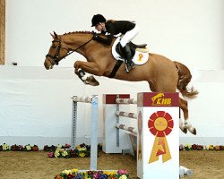 jumper Nymphenburg's Charles (Bavarian, 2005, from Chambertin)