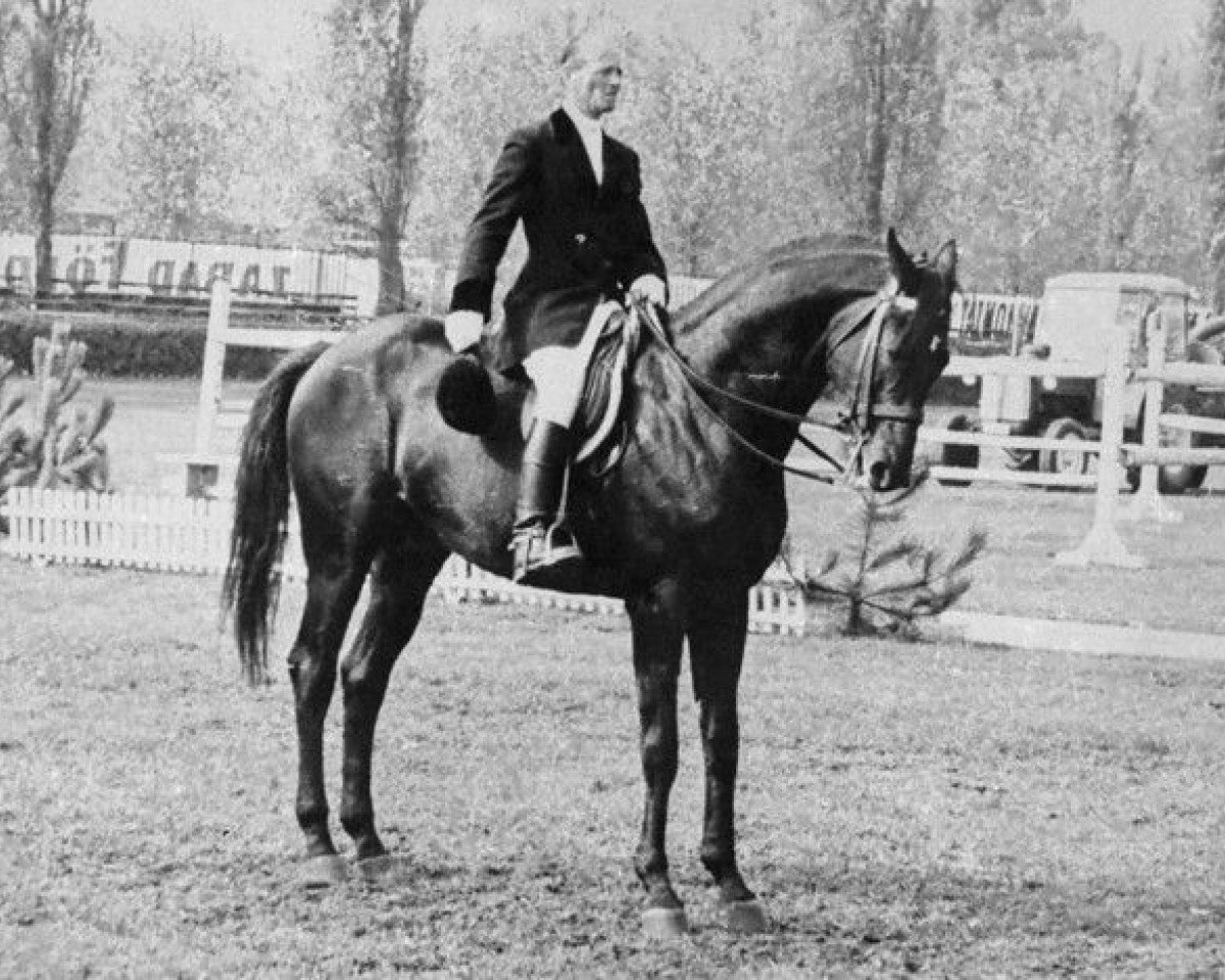 Deckhengst Rahó xx (Englisches Vollblut, 1953, von Robert Endre xx)