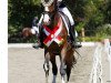 dressage horse La Bella Rosa (Austrian Warmblood, 2015, from Dancier)