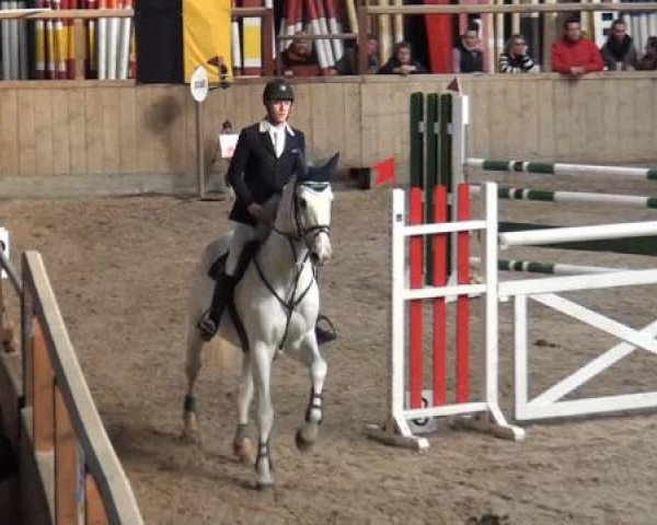 Hallenspringturnier Heidelberg-Kirchheim 2015