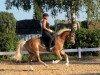 dressage horse Wotan (Haflinger, 2005, from Weinzauber (3,125% ox))