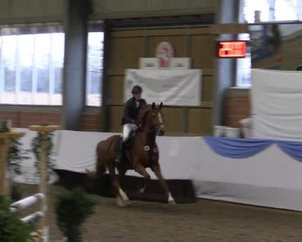 Hallen-Springturnier Greven 2015