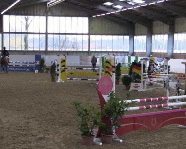 Hallen-Springturnier Greven 2015
