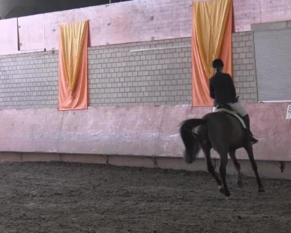Hallenturnier Hellefeld 2015