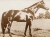 stallion Furioso XLI (Furioso, 1934, from Furioso XXXIX)