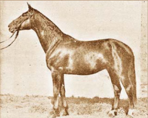 horse Furioso XXXVIII (Furioso, 1923, from Furioso XXVIII)