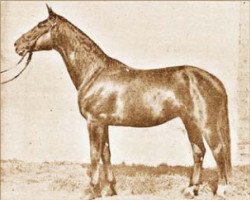 horse Furioso XXXVIII (Furioso, 1923, from Furioso XXVIII)