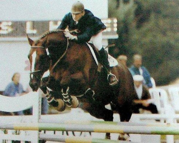 stallion Ulak du Chateau (Selle Français, 1986, from Grand Veneur)