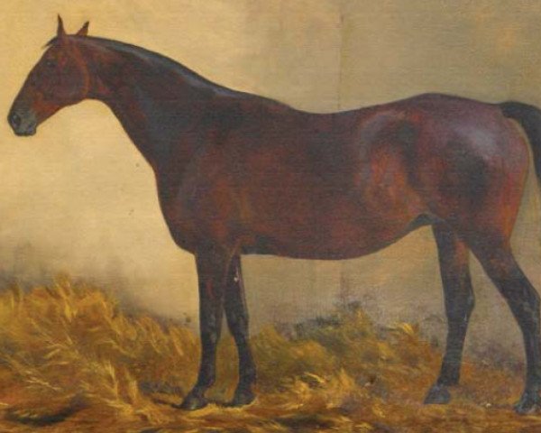 stallion Furioso xx (Thoroughbred, 1836, from Privateer xx)