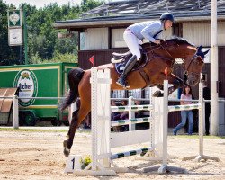 jumper Carla 160 (Württemberger, 2008, from Celentano)