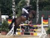 jumper Diatano W (German Sport Horse, 2016, from Diacontinus)