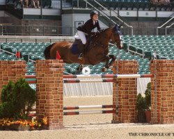 jumper Everest de Muze (Belgian Warmblood, 2004, from For Pleasure)