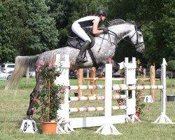 jumper Captain Carl B (Oldenburg, 2009, from Clinton I)