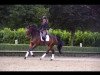 dressage horse Fritzi Aus Visbek (Oldenburg, 2010, from For Compliment)