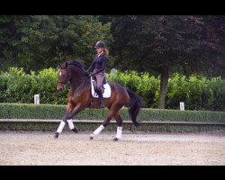 dressage horse Fritzi Aus Visbek (Oldenburg, 2010, from For Compliment)