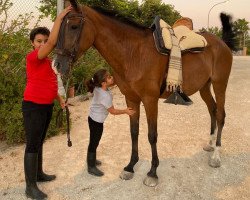 horse Dama (Cruzado, 2007)